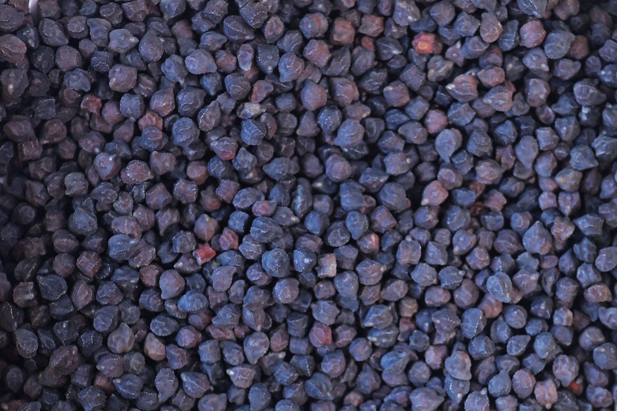 Food Rancho Gordo Black Garbanzo Beans - 1 lb.