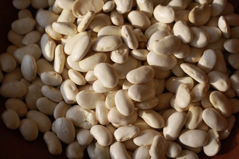 Food Rancho Gordo Classic Cassoulet Beans - 1 lb.