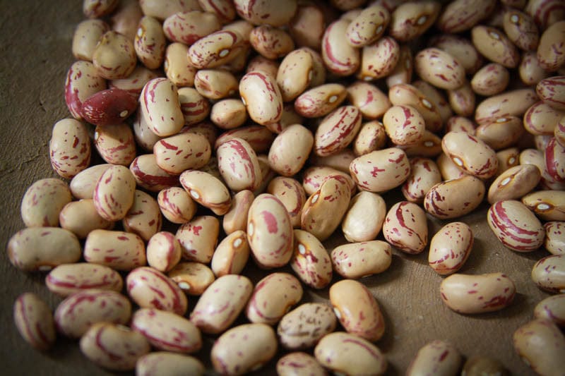Food Rancho Gordo Cranberry Beans - 1 lb.