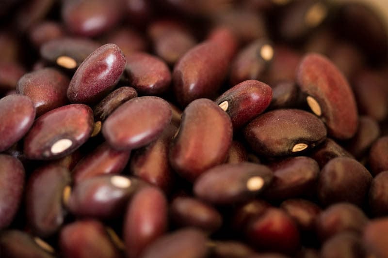 Food Rancho Gordo Domingo Rojo Beans - 1 lb.