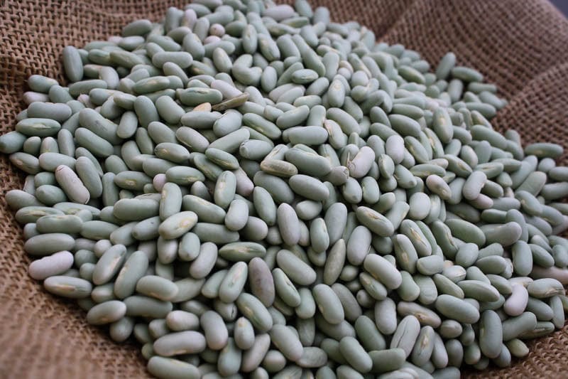 Food Rancho Gordo Flageolet Beans - 1 lb.