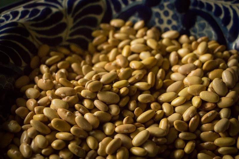 Food Rancho Gordo Mayocoba Beans - 1 lb.