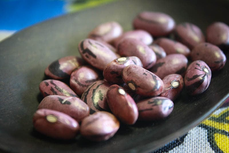 Food Rancho Gordo Rio Zape Beans - 1 lb.