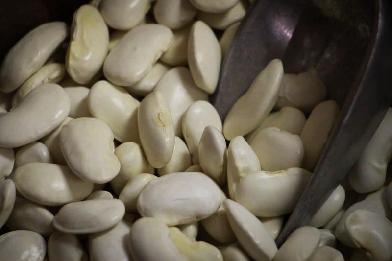 Food Rancho Gordo Royal Corona Beans - 1 lb.