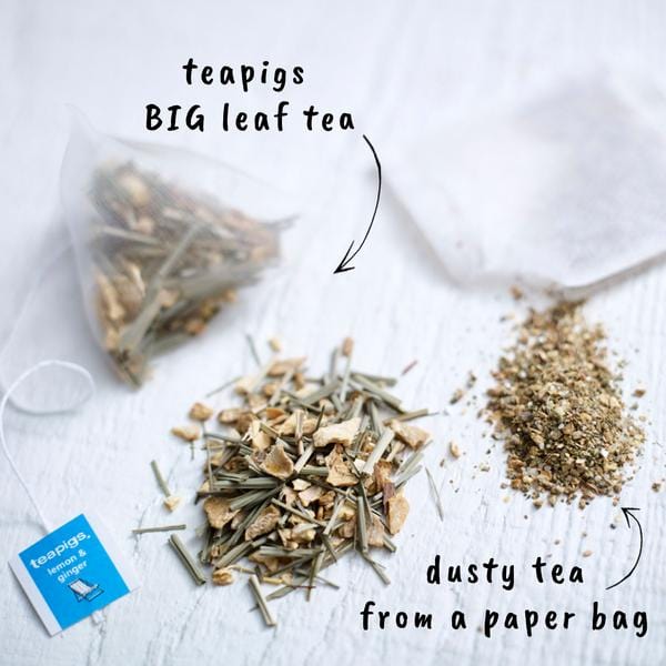 Food Teapigs Lemon Ginger Tea